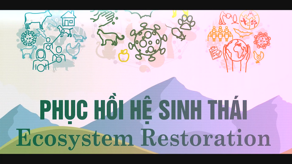 Ngày Môi trường thế giới năm 05/06/2021: Phục hồi Hệ sinh thái